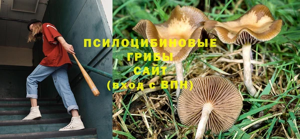 MDMA Беломорск