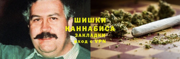 ГАЛЛЮЦИНОГЕННЫЕ ГРИБЫ Белокуриха