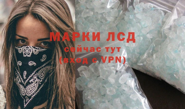 прущие грибы Рославль