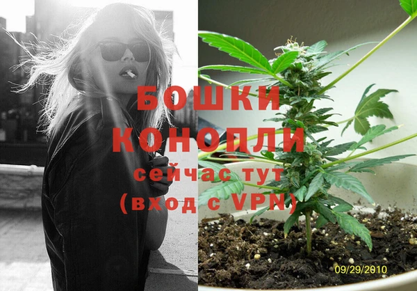 молекула духа Россошь