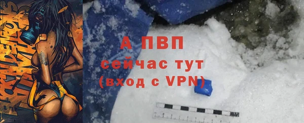 хмурый Богданович