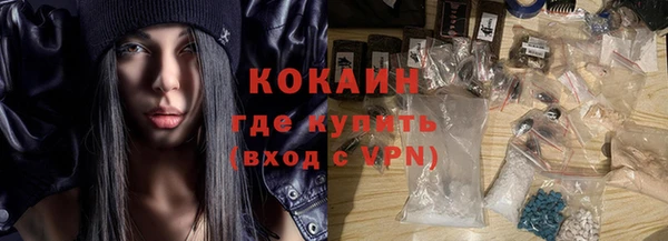 ГАЛЛЮЦИНОГЕННЫЕ ГРИБЫ Белокуриха