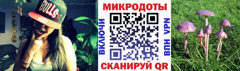 площадка формула  где продают   Белокуриха  Псилоцибиновые грибы Psilocybe 